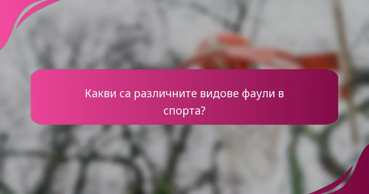 Какви са различните видове фаули в спорта?